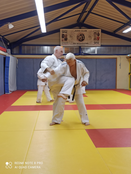 Jujitsu Traditionnel : maîtrise et efficacité