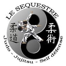 Logo Dojo